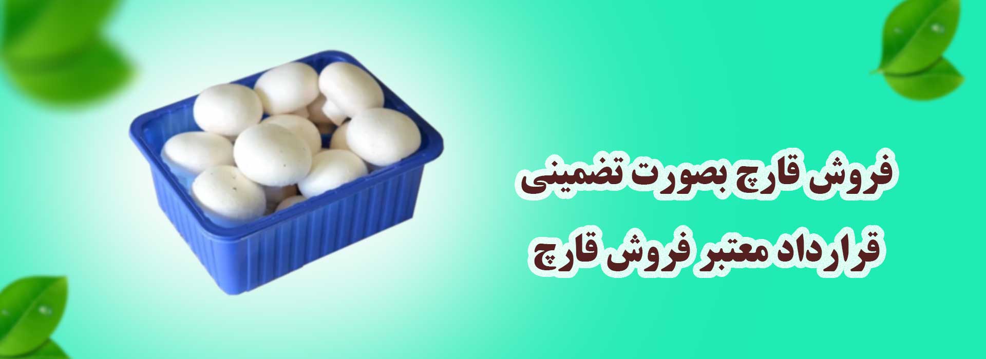 بنر فروش تضمینی