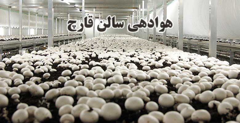 havadehi